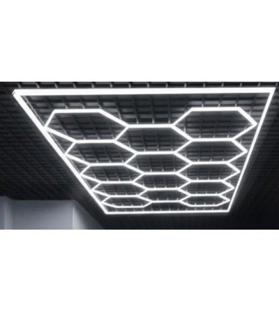 Panel Hexagonal de Abeja